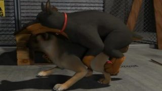 KLAUS DOBERMAN AND GSD furry porn animation
