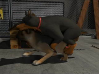 KLAUS DOBERMAN AND GSD furry porn animation - XVIDEO