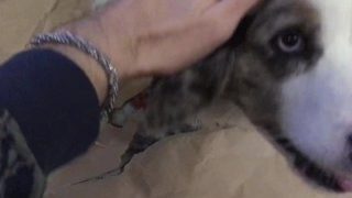 26 yo guy plays with 8 mouth old hairy baby