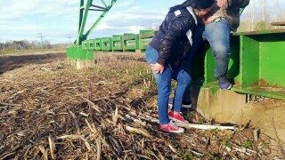 Extreme public sex at high voltage towers. Porn online 2020 for free.