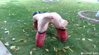 Piggy day