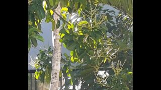 yoga  espiando vecina